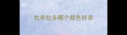 拉布拉多哪个颜色好卖