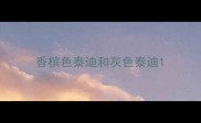 香槟色泰迪和灰色泰迪