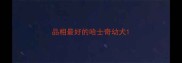 品相最好的哈士奇幼犬