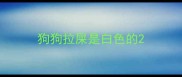 狗狗拉屎是白色的