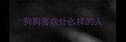 狗狗喜欢什么样的人