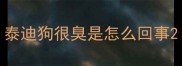 泰迪狗很臭是怎么回事