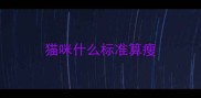 猫咪什么标准算瘦