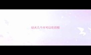 幼犬几个月可以吃奶糕