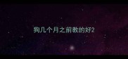 狗几个月之前教的好