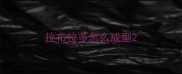 拉布拉多怎么成型