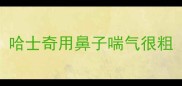 哈士奇用鼻子喘气很粗