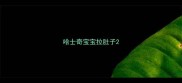 哈士奇宝宝拉肚子