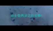 哈士奇两岁之后安静