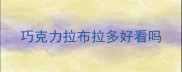 巧克力拉布拉多好看吗