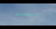 黑色泰迪狗狗多少钱