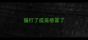 猫打了疫苗感冒了