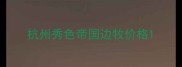 杭州秀色帝国边牧价格