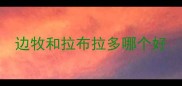 边牧和拉布拉多哪个好