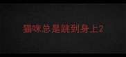 猫咪总是跳到身上