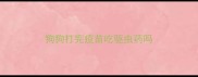 狗狗打完疫苗吃驱虫药吗