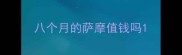 八个月的萨摩值钱吗