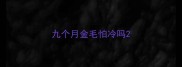 九个月金毛怕冷吗