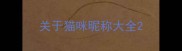 关于猫咪昵称大全