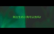 刚出生的小狗可以抱吗