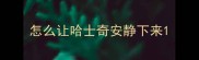 怎么让哈士奇安静下来