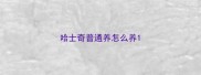 哈士奇普通养怎么养