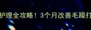 哈士奇毛发护理全攻略3个月改善毛躁打结亲测有效