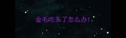 金毛吃多了怎么办