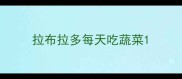 拉布拉多每天吃蔬菜