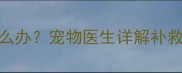 狗狗疫苗过期怎么办宠物医生详解补救措施及预防指南