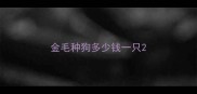 金毛种狗多少钱一只