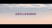 皮筋怎么给泰迪断尾