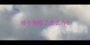 被小狗咬了怎么办