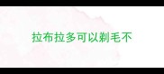 拉布拉多可以剃毛不