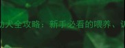 4个月大哈士奇幼犬全攻略新手必看的喂养训练和健康指南