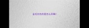 金毛白色的是怎么回事