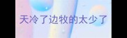天冷了边牧的太少了
