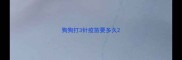 狗狗打3针疫苗要多久