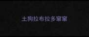 土狗拉布拉多窜窜