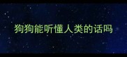 狗狗能听懂人类的话吗