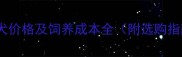 金毛犬价格及饲养成本全附选购指南