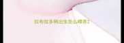拉布拉多刚出生怎么喂养