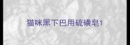 猫咪黑下巴用硫磺皂