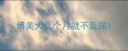 博美犬几个月就不乱尿