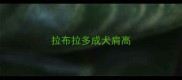 拉布拉多成犬肩高