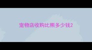 宠物店收购比熊多少钱