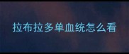拉布拉多单血统怎么看