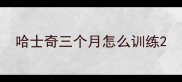 哈士奇三个月怎么训练