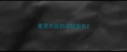 最受欢迎的边牧颜色