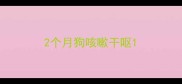2个月狗咳嗽干呕